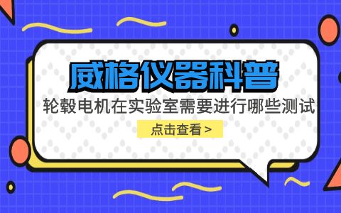 威格儀器-輪轂電機(jī)在實(shí)驗(yàn)室需要進(jìn)行哪些測(cè)試插圖